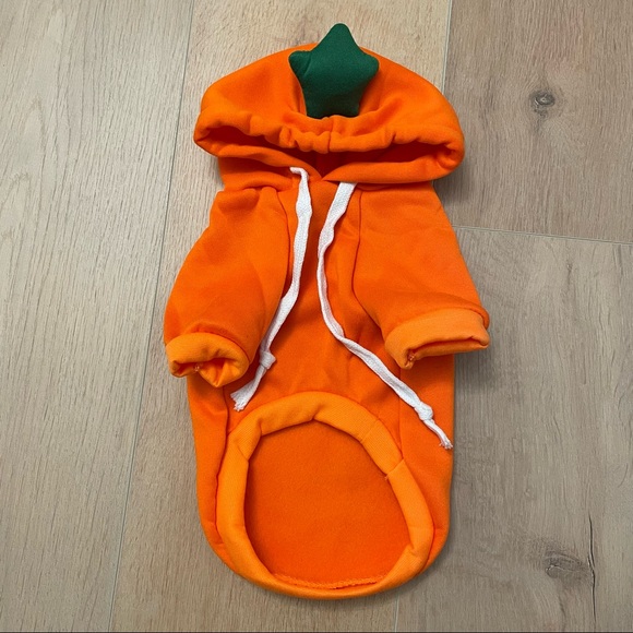 💗 NWOT Dog - Carrot Hoodie - Picture 1 of 5